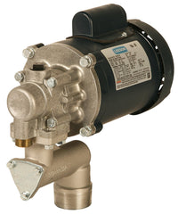 115 VAC, Oil Transfer Pump w/ Suction Pipe,Hose